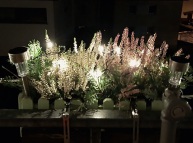 90 Jahre Trachtengruppe Markdorf